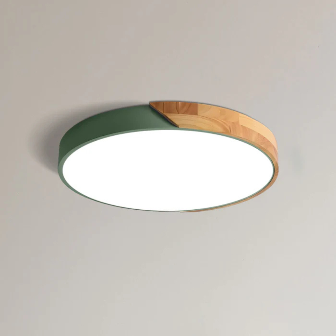 Scandinavian Wooden Flush Mount LED Design Ceiling Light